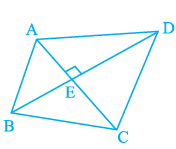 Page 34 Chapter 2 Class 6th NCERT Exemplar Page 34 Chapter 2 Class 6th NCERT Exemplar